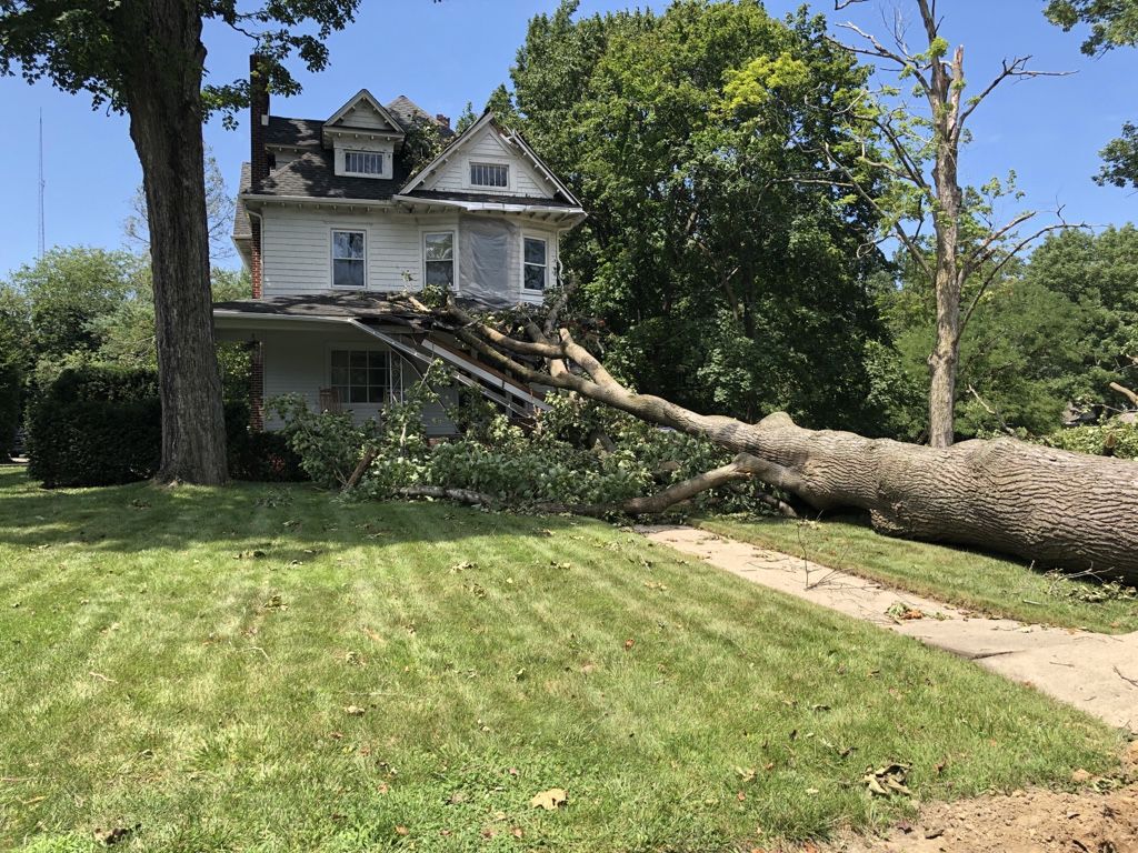 Tropical Storm Isaias aftermath in Hammonton